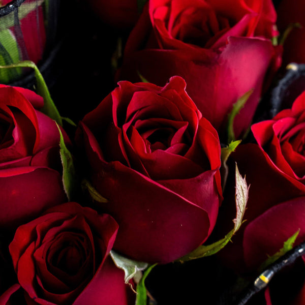 Deep Love Fresh Red Roses Box - Florist in KL